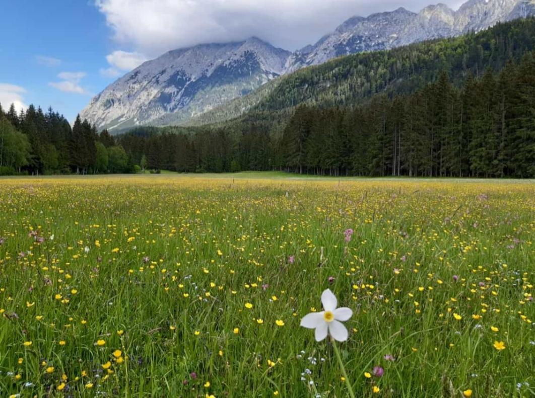 Appartementhaus Theresia บัดมิทแทร์นดอร์ฟ ภายนอก รูปภาพ